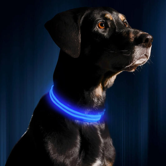 LED Dog Collar with AirTag Holder – USB Rechargeable Safety Collar